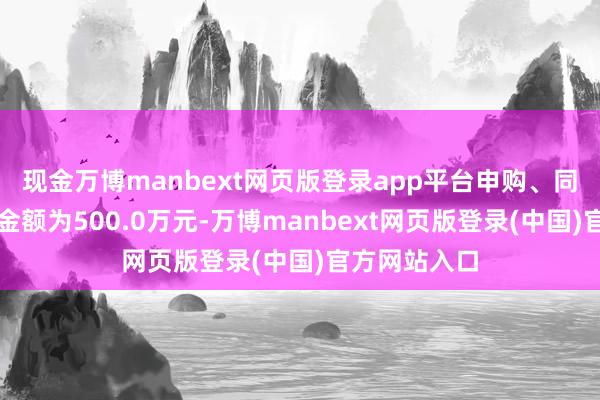 现金万博manbext网页版登录app平台申购、同样转入上限